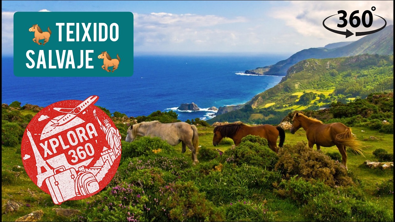 🌫️🐎 Teixido salvaje 🌊