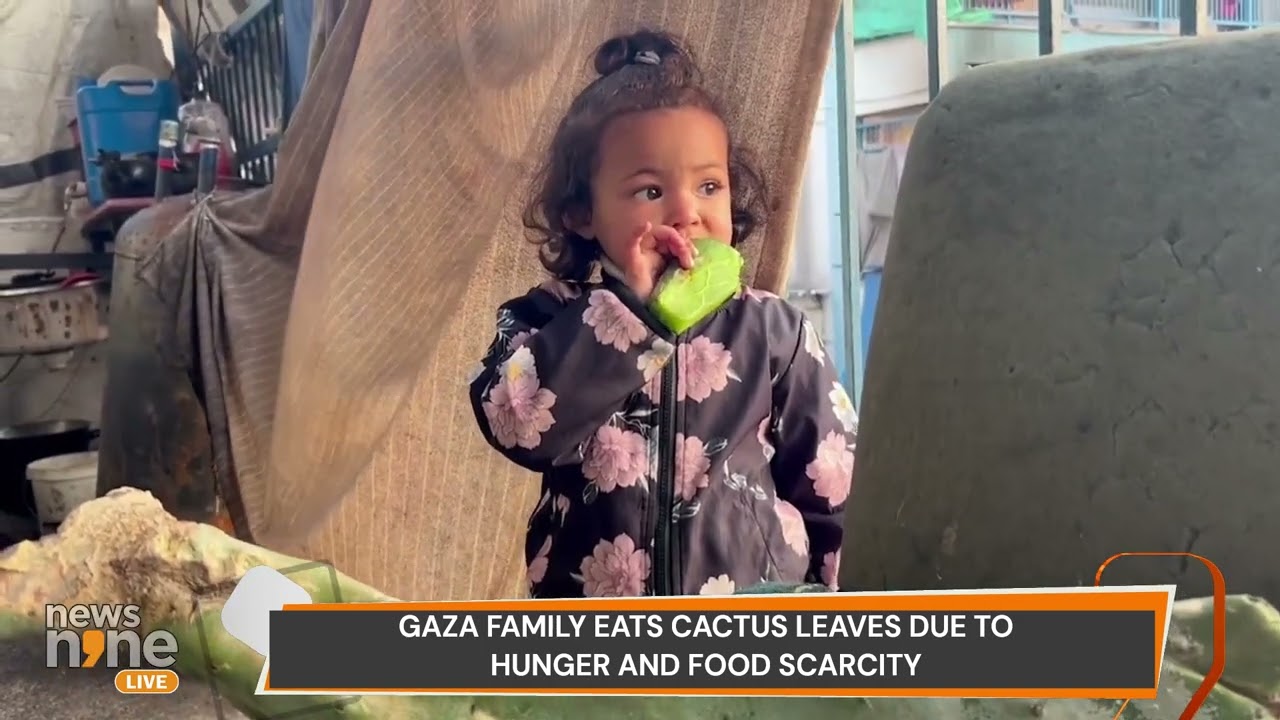 Gaza Family Eats Cactus Leaves Due To Hunger And Food Scarcity #palestine