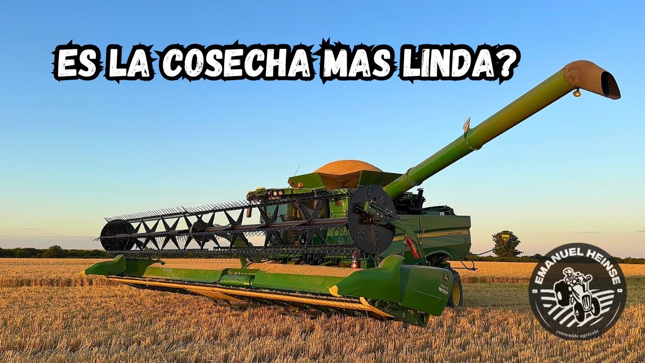 LA COSECHA MÁS LINDA ES LA DE TRIGO!!!  A METERLE CON TODO 