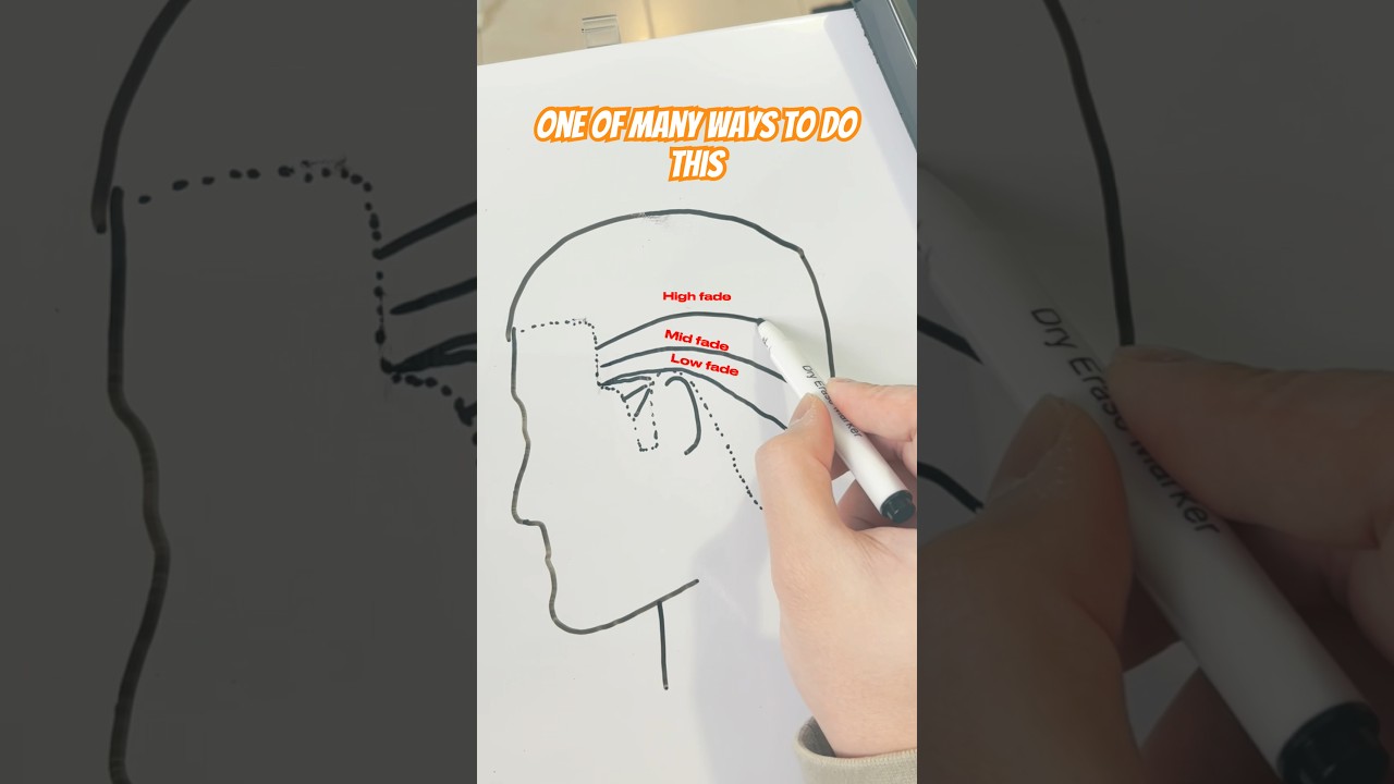 Basic guide for tapers and fades #hairstyle #fade #skinfade #haircut #barber #taper #hair #fadehair