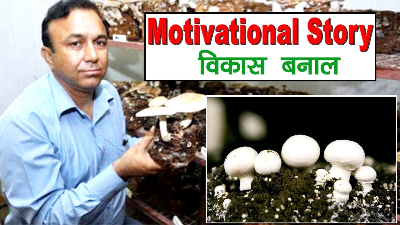 Motivation Documentary of Solan's Businessman-Vikas Benal