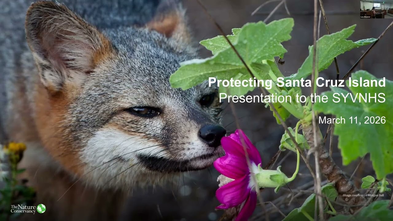Protecting Santa Cruz Island with Lara Brenner