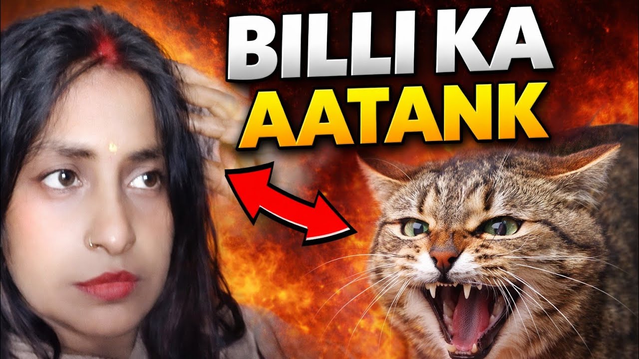 🙀BILLI KA AATANK 😼 | Is Billi Ne Dimaag Hila Diya👿(सोचा था दिन बहुत प्यारा होगा संडे का) 🏠🤦