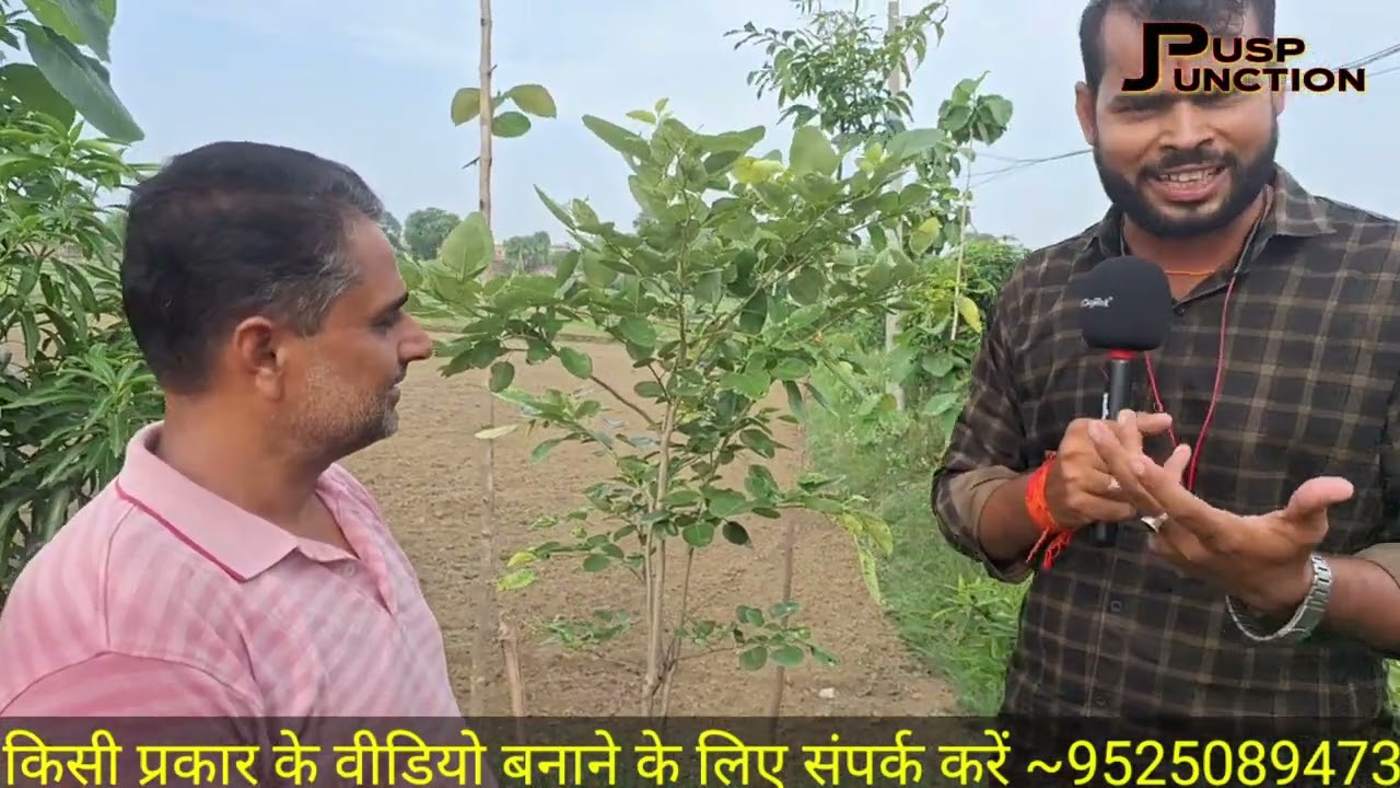 “बिहार की मिट्टी पर लाल सोना: लाल चंदन की खेती से बदलेगी किसानों की किस्मत” #puspjunction #chandan 