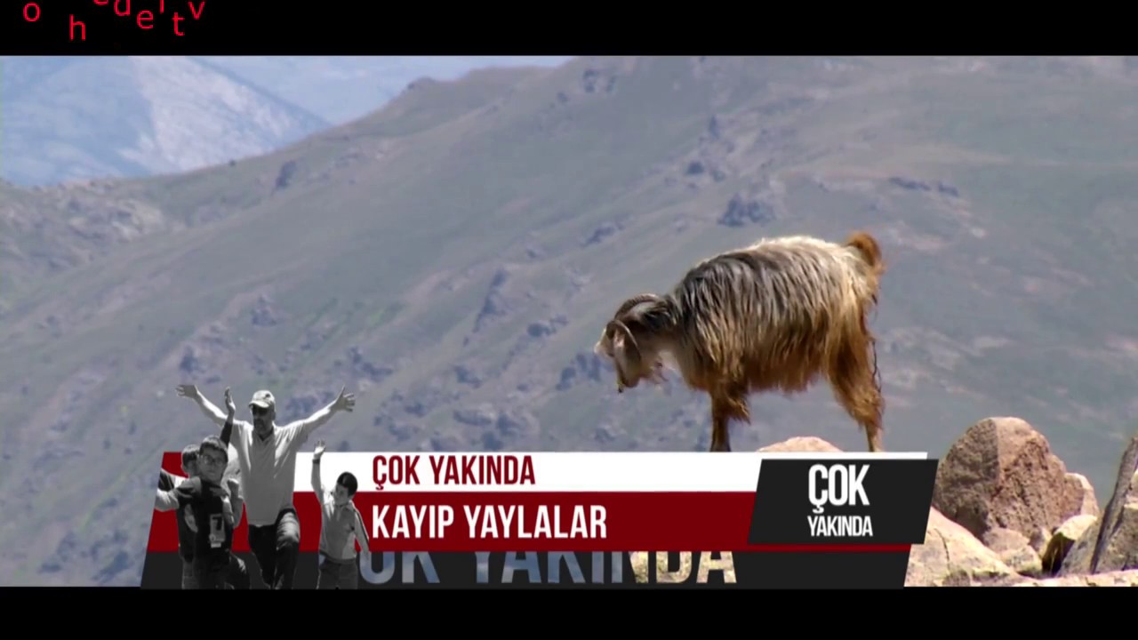 YAYLA YAYLA MUHTEŞEM MANZARA LAR KAYIP YAYLALAR Hedef Tv Ekranlarında