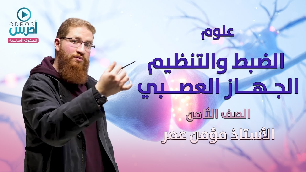الضبط والتنظيم في الجهاز العصبي | علوم الصف الثامن – الفصل الثاني | مع الأستاذ مؤمن عمر