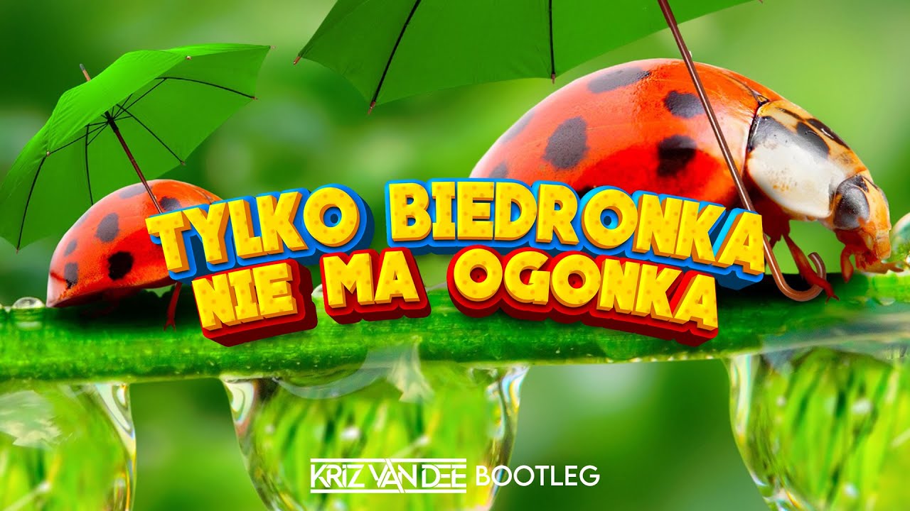 Tylko Biedronka Nie Ma Ogonka (KriZ Van Dee Bootleg) 🐞