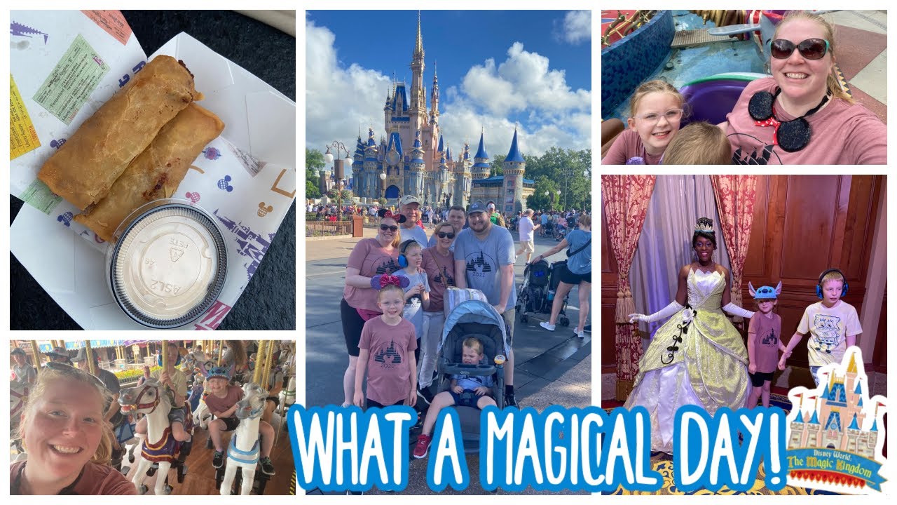 Our Day in Magic Kingdom | As Well as a $100 Mistake Story Time