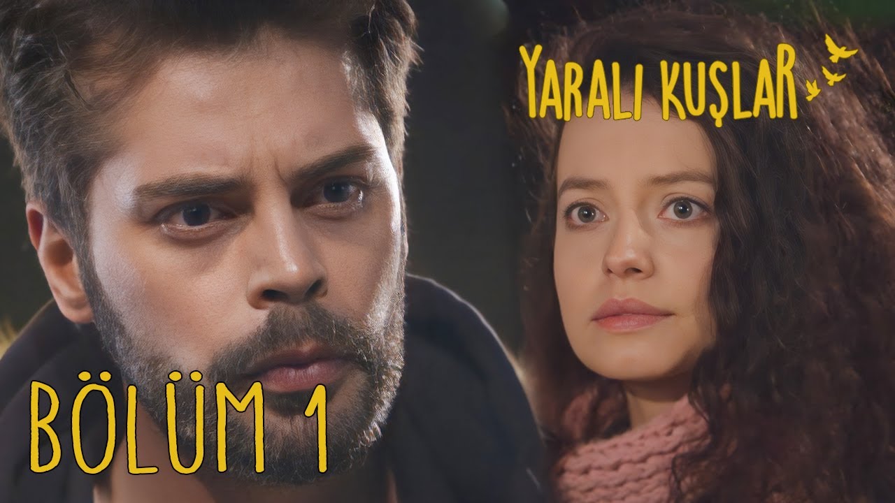Yaralı Kuşlar 1.B&ouml;l&uuml;m (English Subtitle)