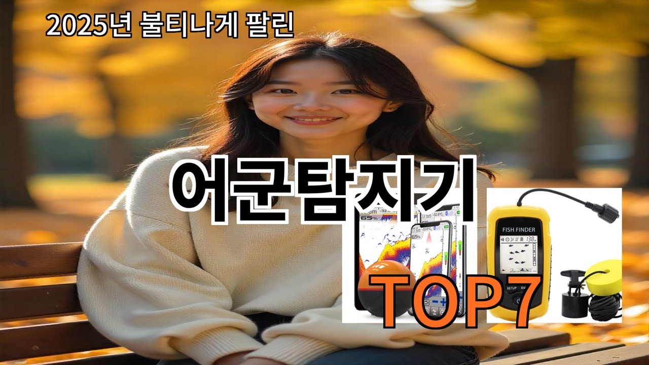 알리 어군탐지기 알리 쇼핑 성공률 평균 이상