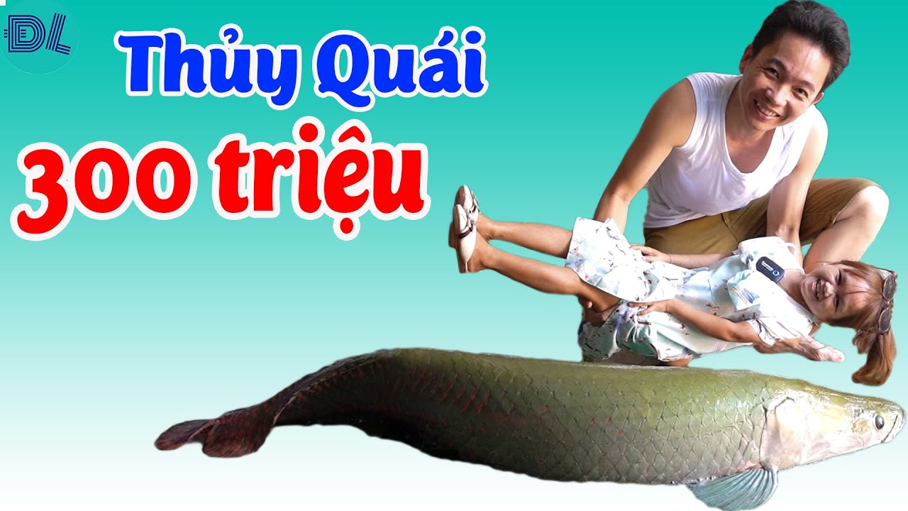Đối mặt bầy thủy quái đang được hô bán với 300 triệu đồng II ĐỘC LẠ BÌNH DƯƠNG