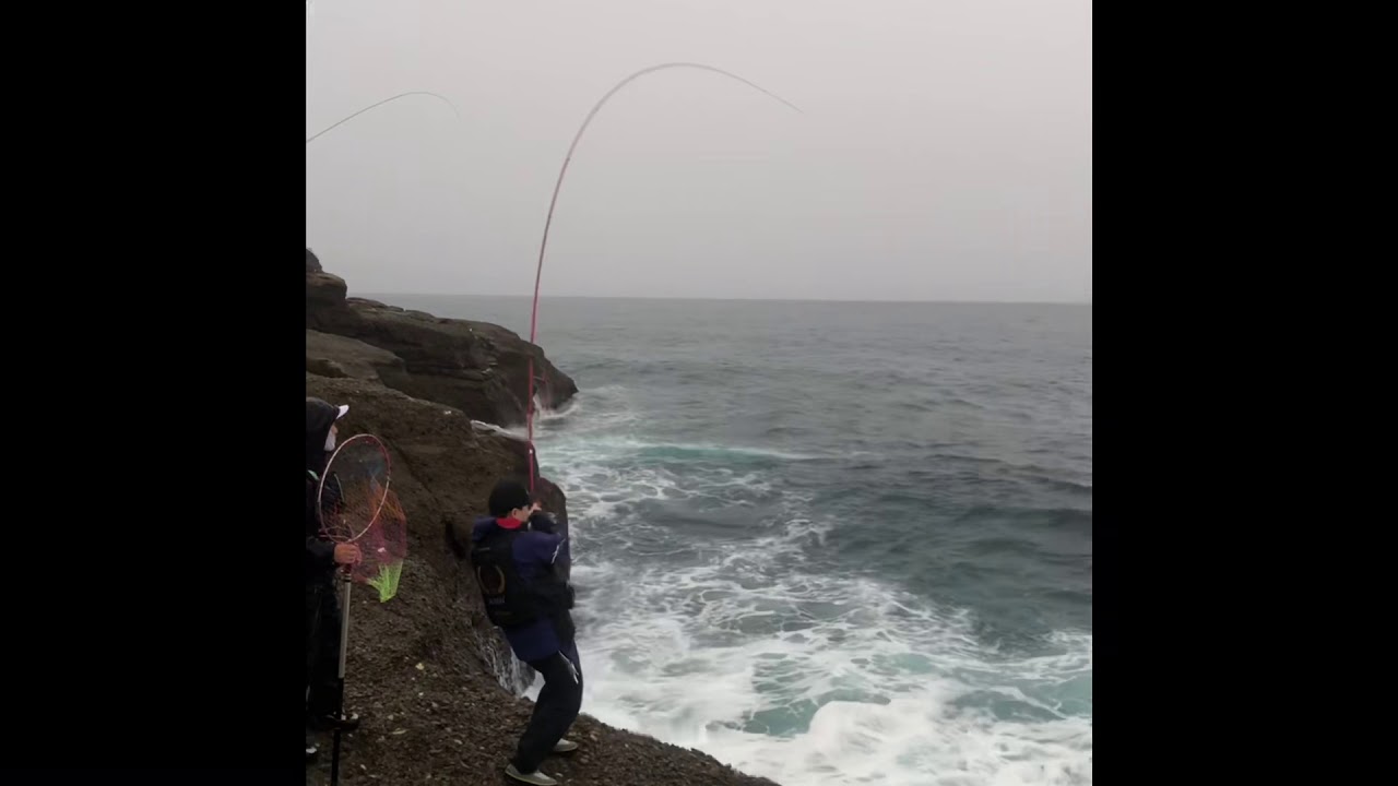 레마레 6 vs 블루핀 튜나 (Shimano remare 6 vs Bluefin tuna)