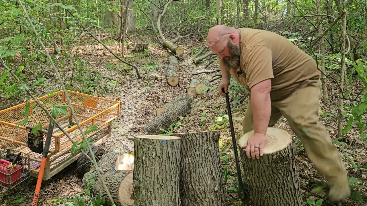 Splitting hickory  (kinda)