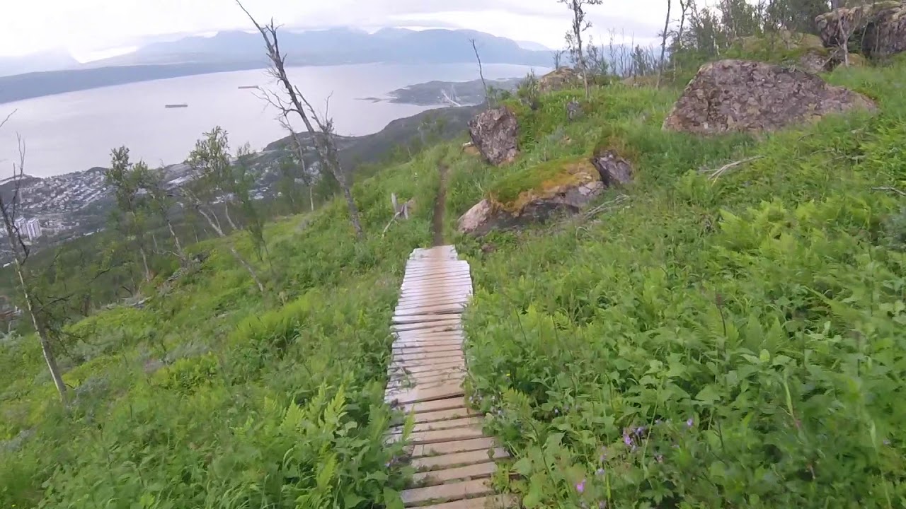 Downhill narvikfjellet røde orm