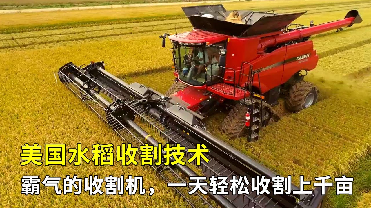 美國水稻收割技術，霸氣威武的收割機，一天輕鬆收割上千畝！