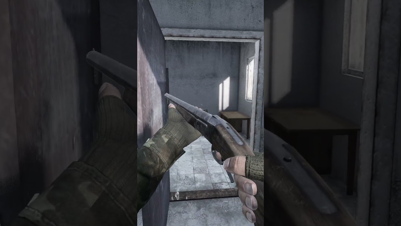 🌪 Storming the PD in DayZ