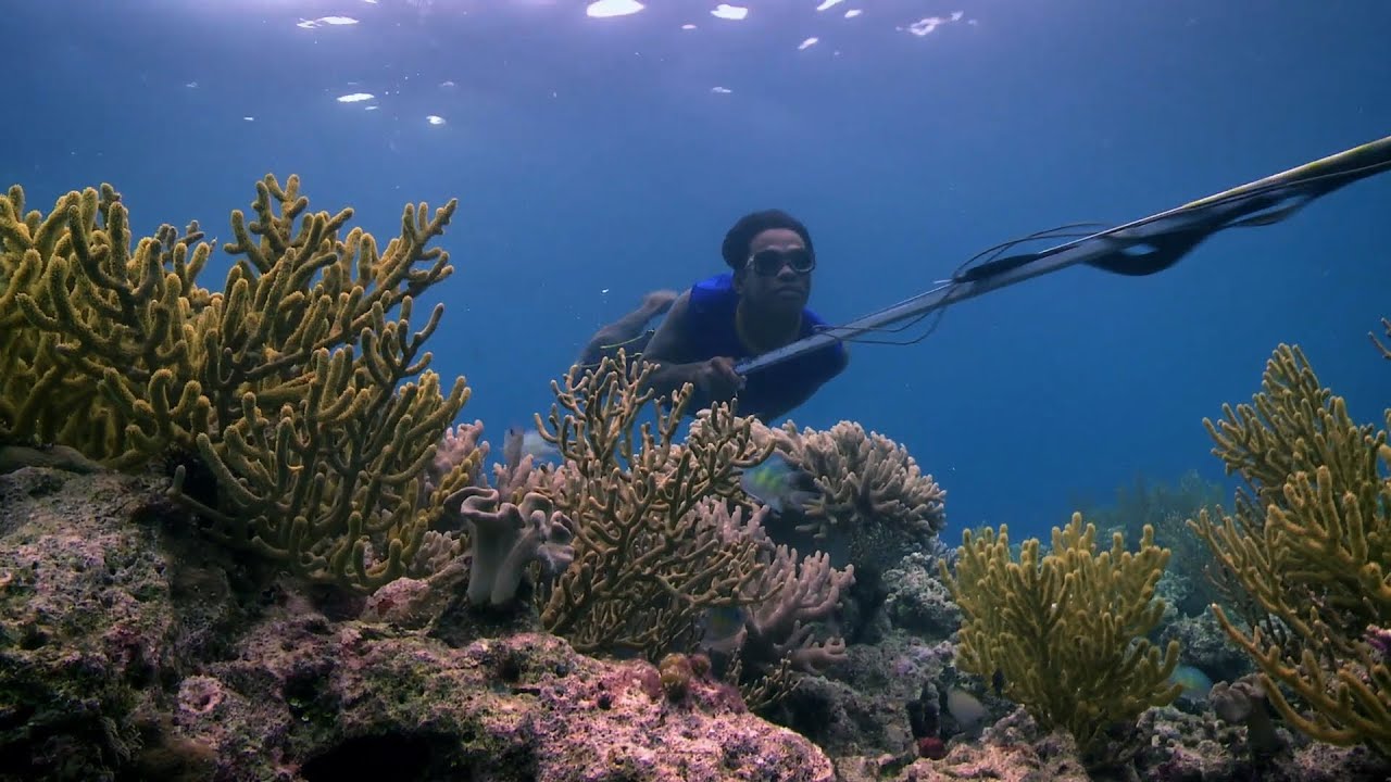 Bajau people of the Banda Sea - Rise of the Continents - Episode 2 Preview - BBC