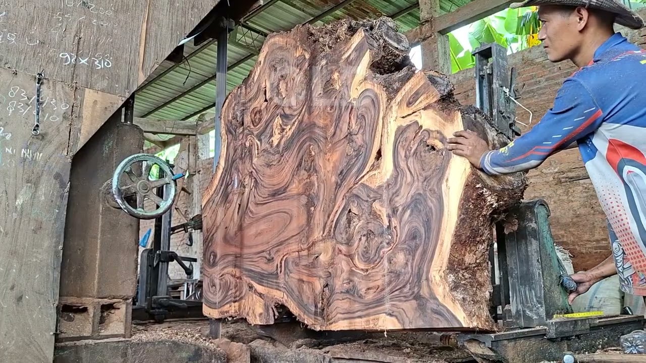Old tree branch pieces! Sawed into unique and beautiful wood slabs