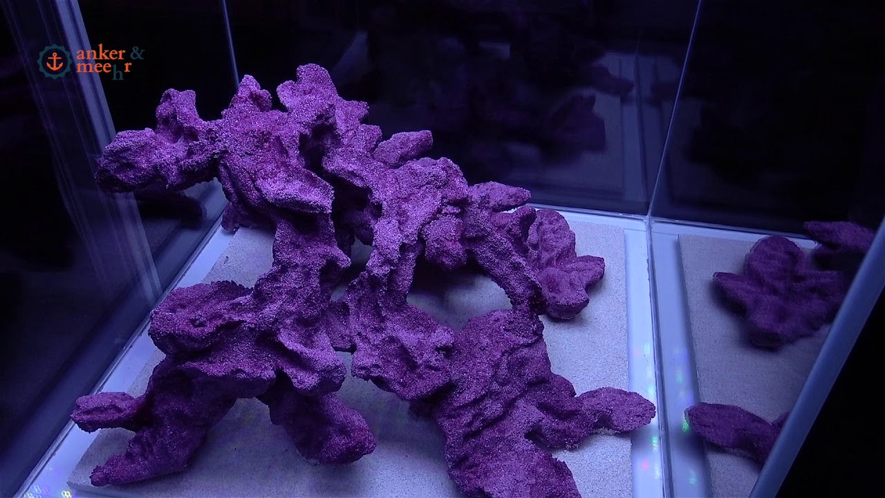 ATI zeigt das neue Epo Reef RED und die Straton LED auf der Marine Aquarium Conference of Europe