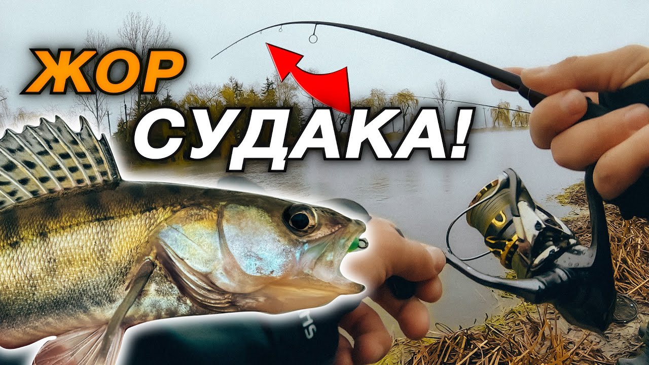 ЗИМОВА РОЗДАЧА СУДАКА - Зловив 30 СУДАКІВ На Відвідний Повідок. Рибалка Бурштин Теплий канал