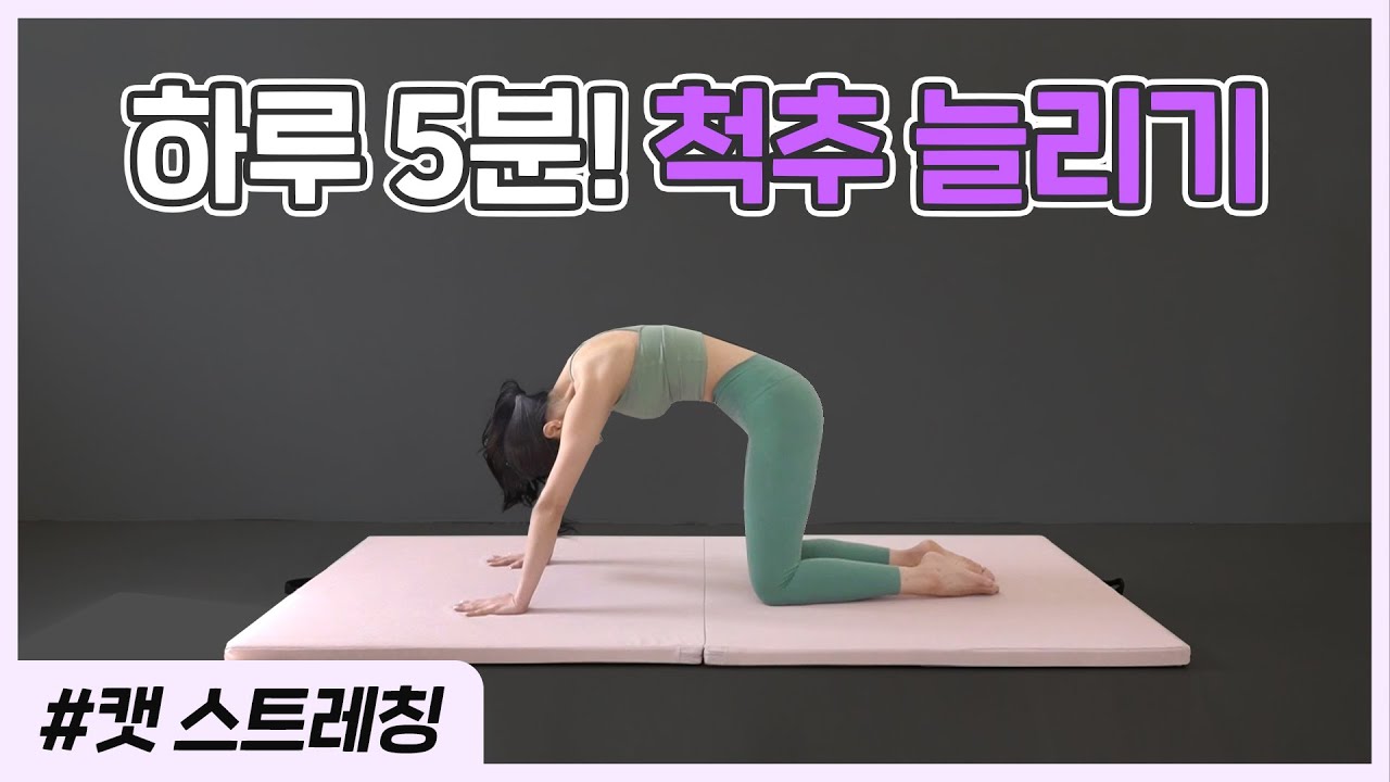 [캣 스트레칭] 온 몸을 쭉 펴주는 5분 스트레칭🔥 매트 필라테스 | MAT PILATES 5MIN CAT STRETCH