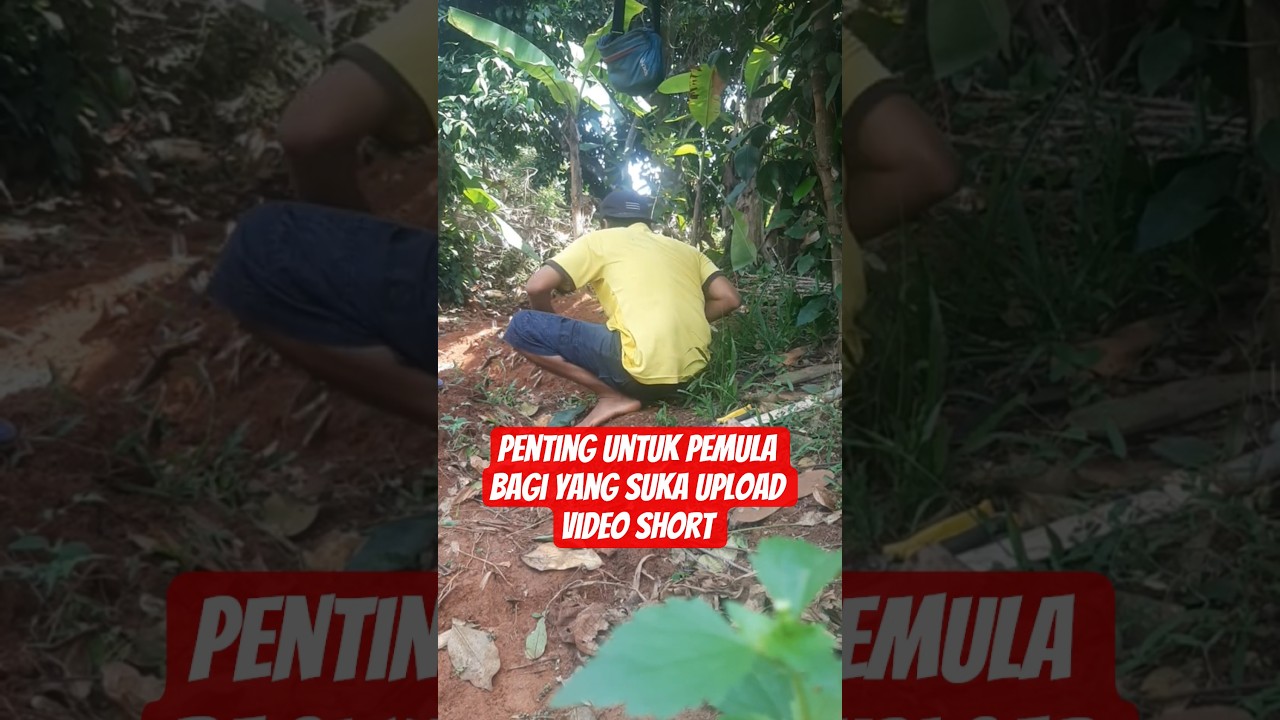 PENTING BAGI SESAMA PEMULA #education #tutorial #information