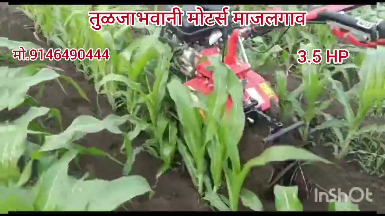 VARSHA 3.5 RABBIT MO.9146490444