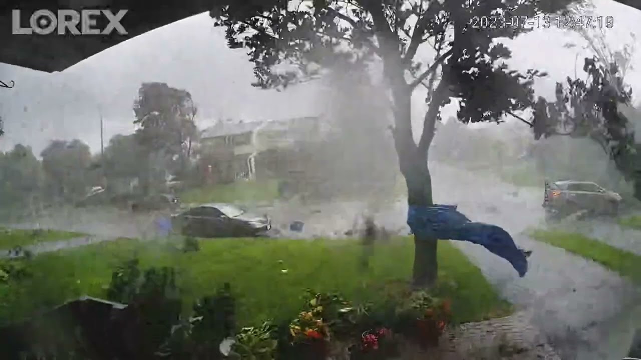 Bins catapulted and trees uprooted as tornado rips through Ontario
