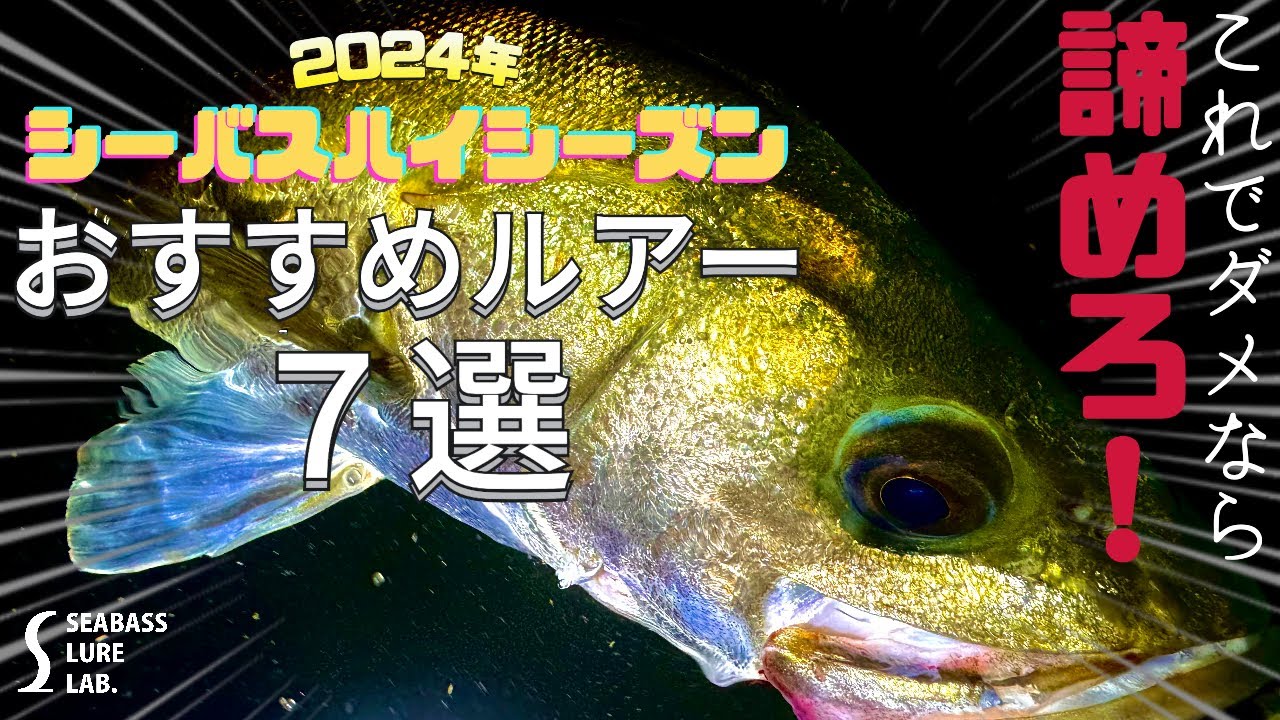 シーバスハイシーズン絶対的おすすめルアー７選【水中映像】【秋爆】