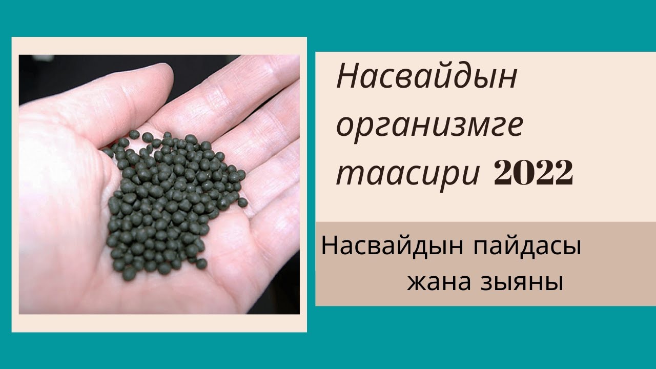 Насвай эмнеси менен пайда жана эмнеси менен зыян?