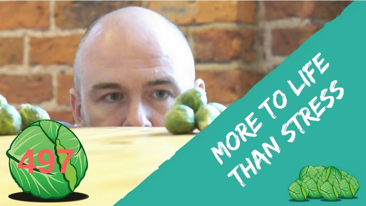 There is more to life than stress | daily sprout 497