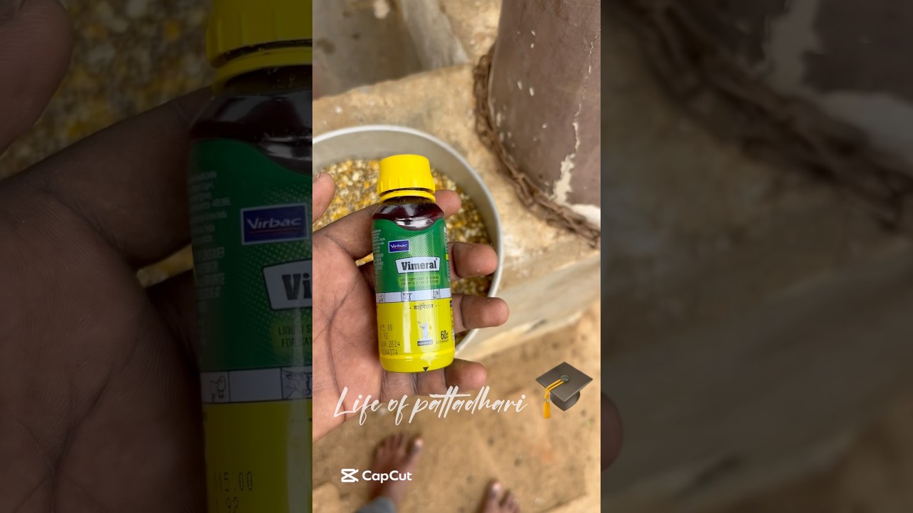 💉💊Best multi vitamin Vimeral🧐💢 #youtube #shorts #viralvideo #pattadhari #trending #subscribe