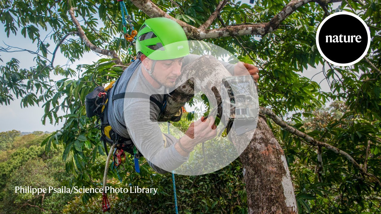 Audio long read: ‘I rarely get outside’ — scientists ditch fieldwork in the age of AI
