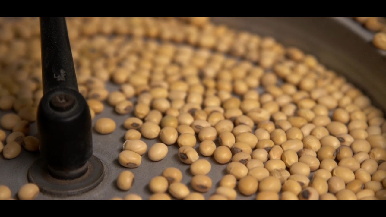 Family Seeds | Generations at Hurt Seed Company