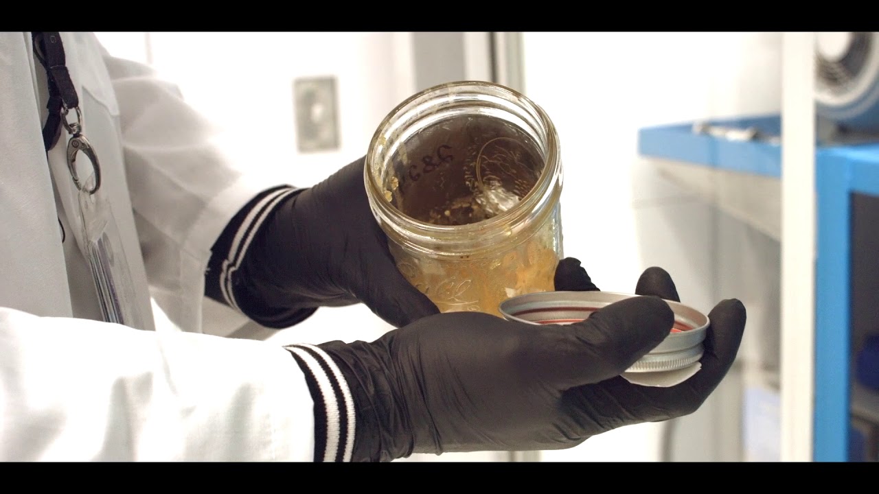 City Trees Concentrates - Our Process