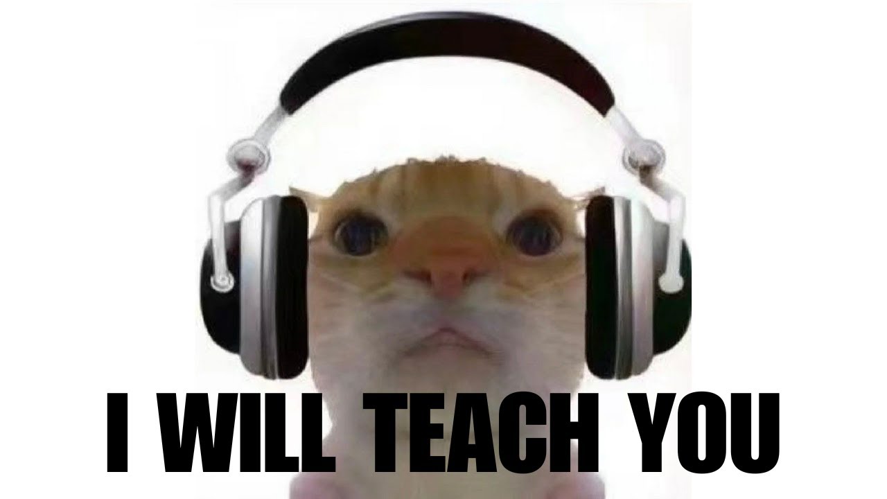 HOW TO MAKE REGGAETON TAUGHT BY A CAT