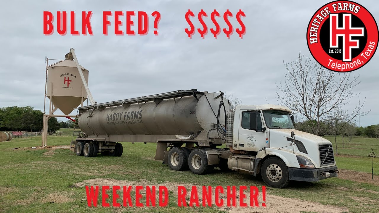 Buying Cattle Feed in Bulk.   Outrageous prices!!