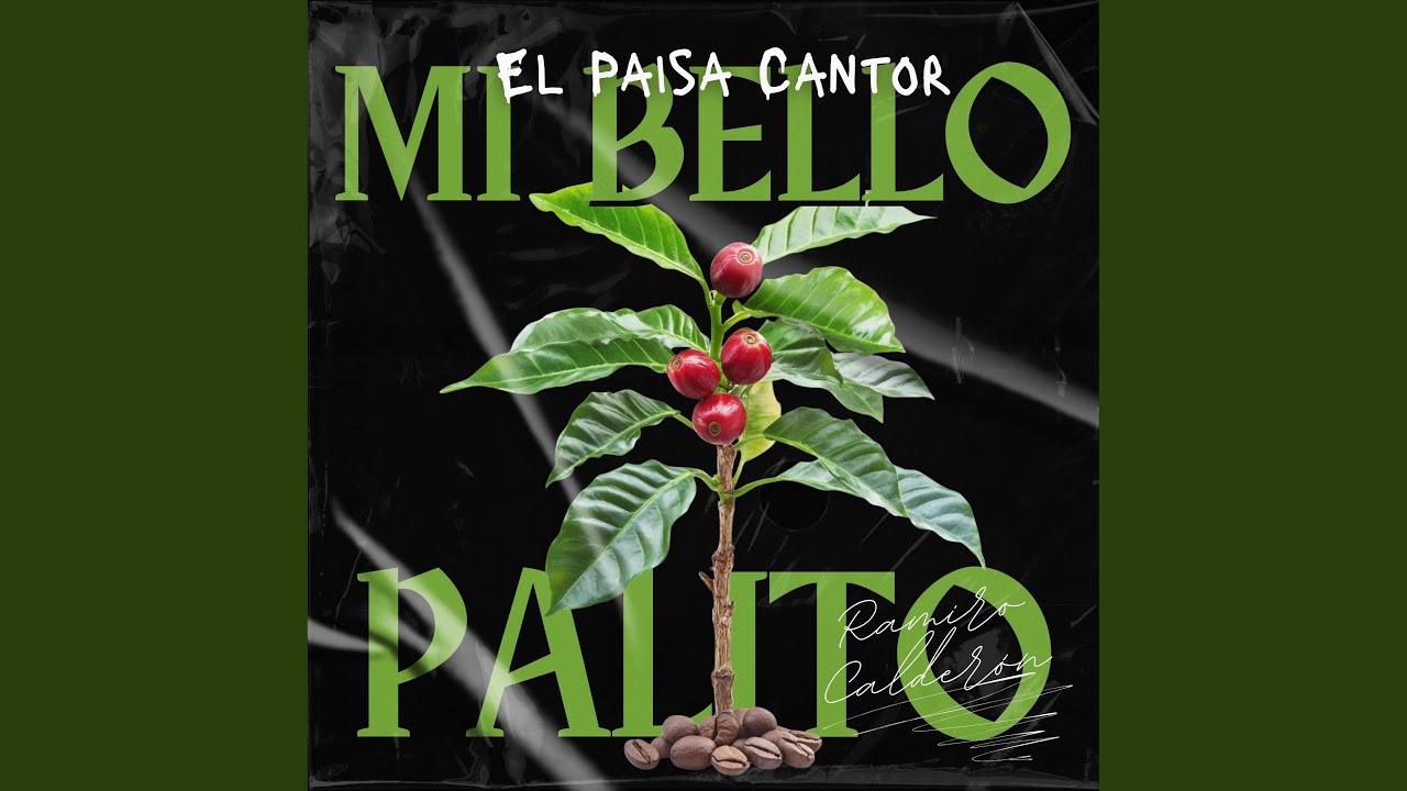 Mi Bello Palito