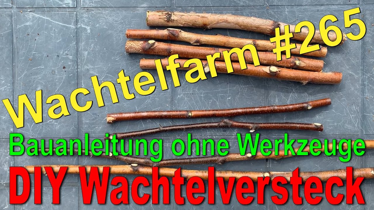 Wachtelversteck DIY - Bauanleitung ohne Werkzeug, ohne Schrauben und Nägel - Wachtelfarm 