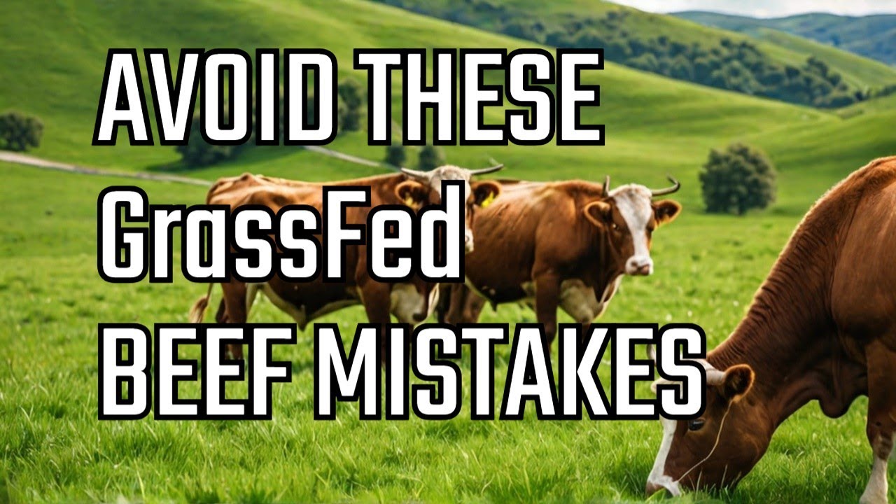 Mistakes to Avoid with Grass-Fed Cattle Beef