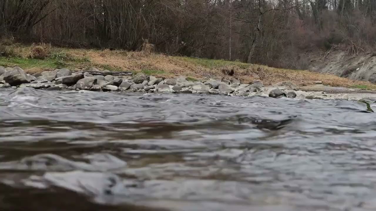 Relaxing River Water Sounds 🌊 12 Hour Nature Ambience for Sleep & Focus