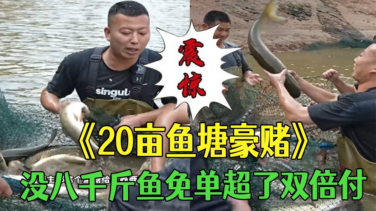 玩把大的！20畝魚塘豪賭，沒八千斤魚免單超了雙倍付 #小飛哥 #三農 #新農人計劃 #護外  #抓魚  #我要上熱門