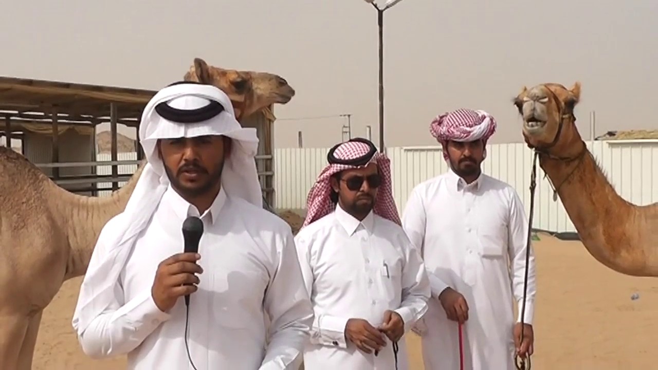 تكريم الفائزين