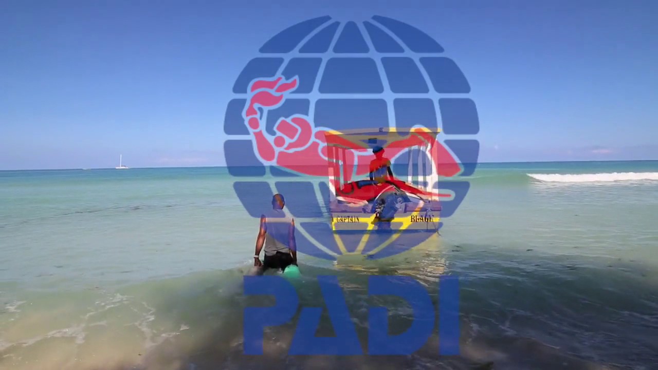 Negril Adventure Divers Promo HD