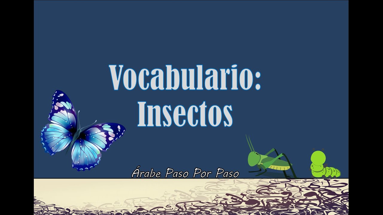 Vocabulario Árabe: Insectos (20 palabras)