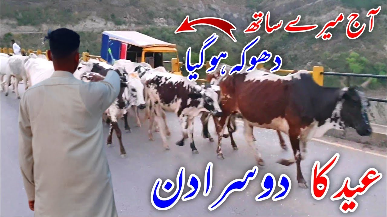 2nd Day Of Eid 2022 | Aj Mery Sath Dokha Ho Giya | Eid Mubarak | Eid Day Routine | Eid Special Vlog