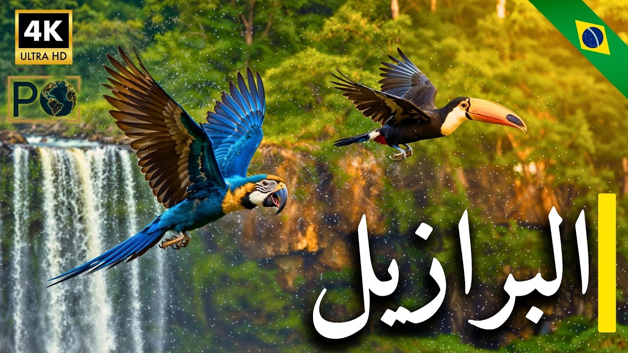 عجائب البرازيل: اكتشف 10 أماكن خفية وراء الصورة النمطية – وثائقي 4K