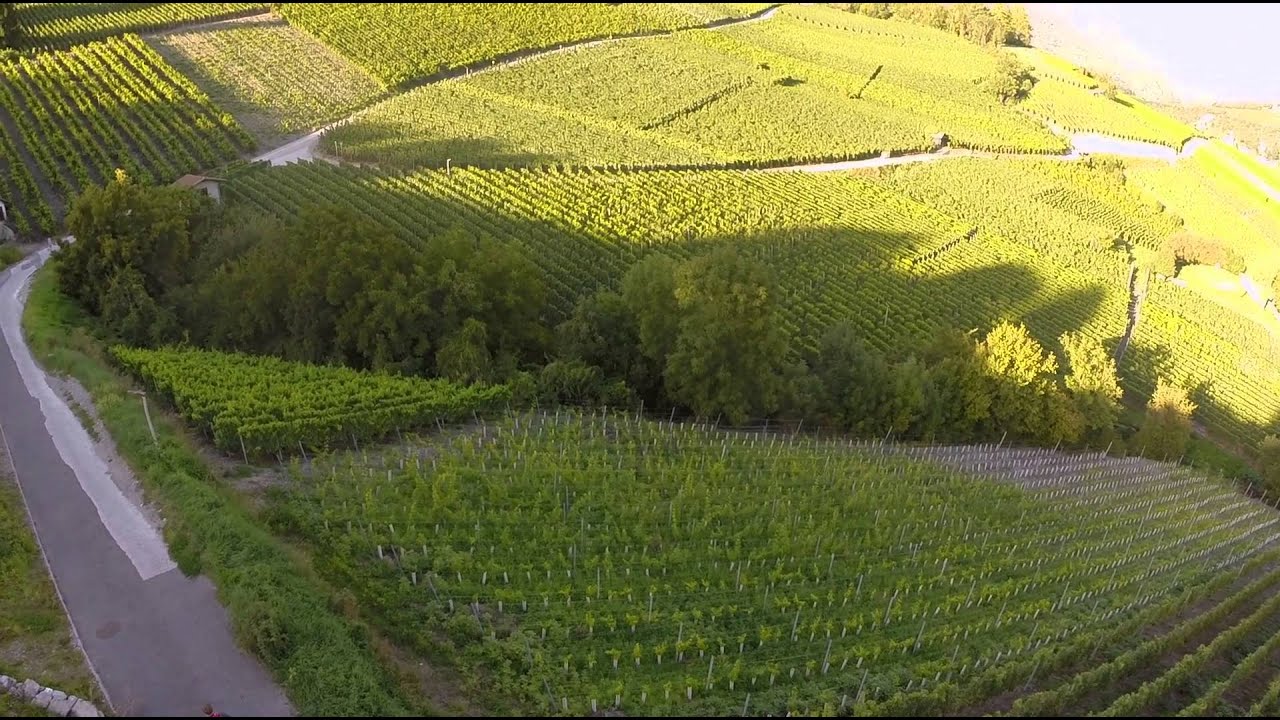 Valais Wine Trail - Savoring Switzerland