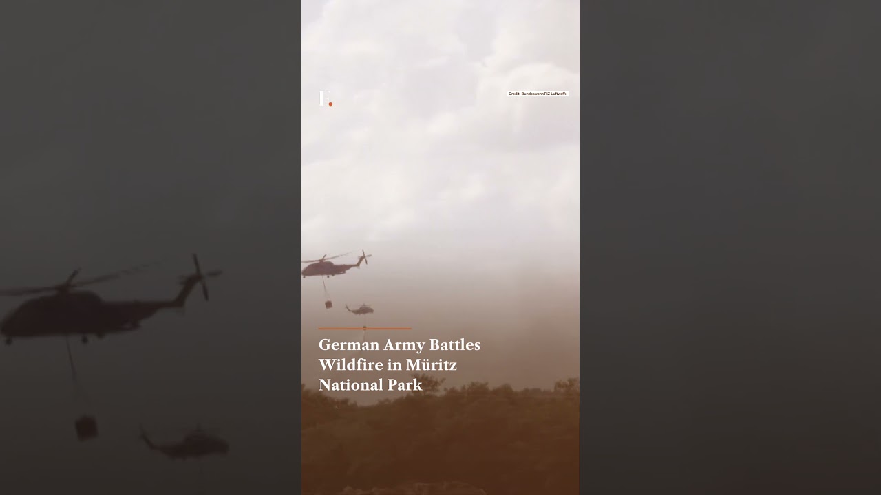 German Army Battles Wildfire in M&uuml;ritz National Park | Firstpost News | N18G