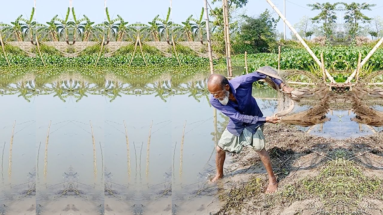Amazing Net Fishing Skill - Most Amazing Cast Net Throws - Traditional Village Fisherman&rsquo;s Big Catch